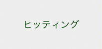 ヒッティングボタン
